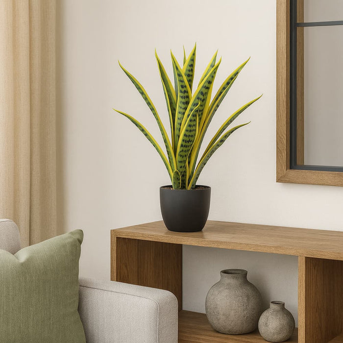 Artificial Snake Plant