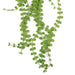 Hanging UV and Fire Resistant Artificial Plant Pearl String 92cm