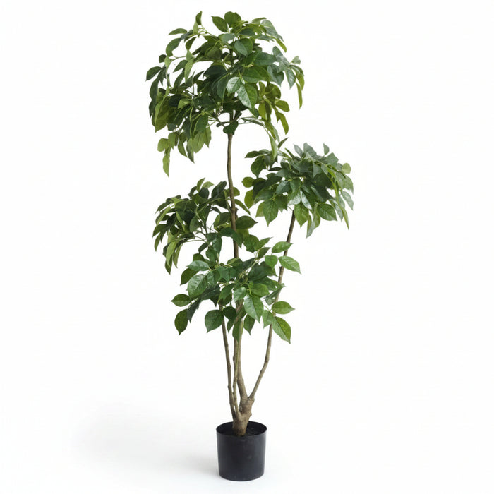 150cm Radermachera Indoor Realistic Tree