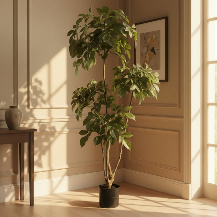 150cm Radermachera Indoor Realistic Tree