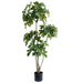 150cm Radermachera Realistic Artificial Tree