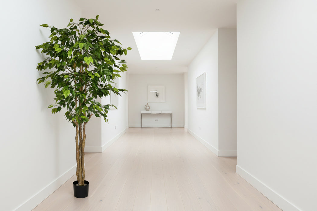 180cm Fire Retardant Deluxe Retusa Ficus Tree With 1134 Leaves