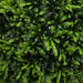 45cm Artificial Thyme Topiary Ball