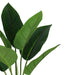 45cm Artificial Aureum Plant