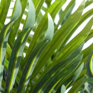 50cm Mini Palm Tree