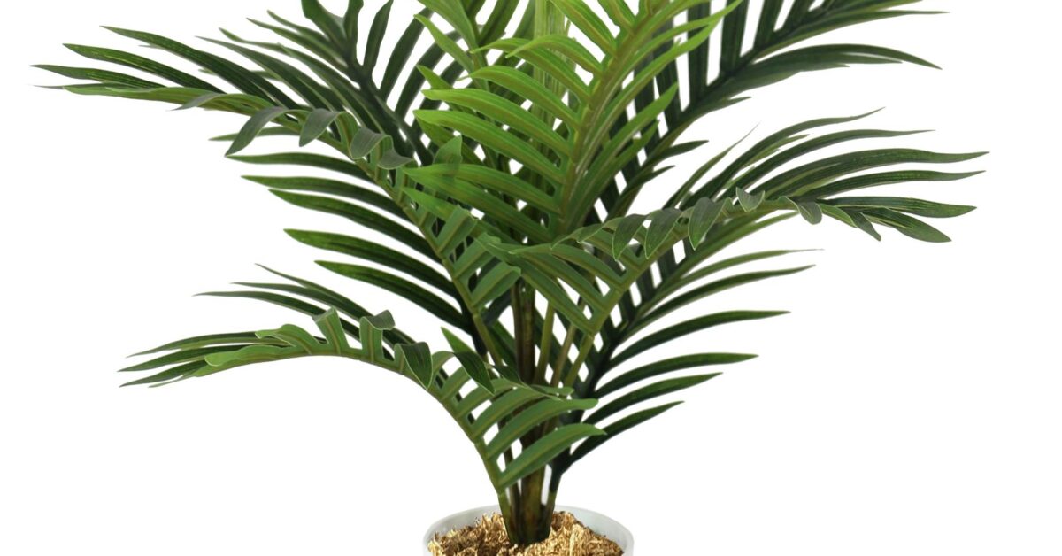 50cm Mini Palm Tree