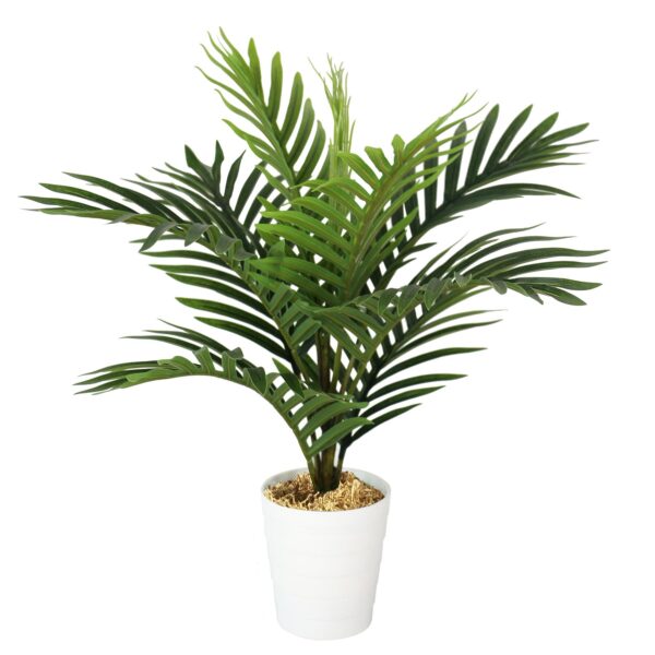 50cm Mini Palm Tree