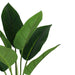 Pack of 6 x 45cm Artificial Aureum Plant