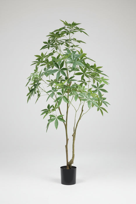 210cm Artificial Money Tree Pachira Realistic Faux Tree
