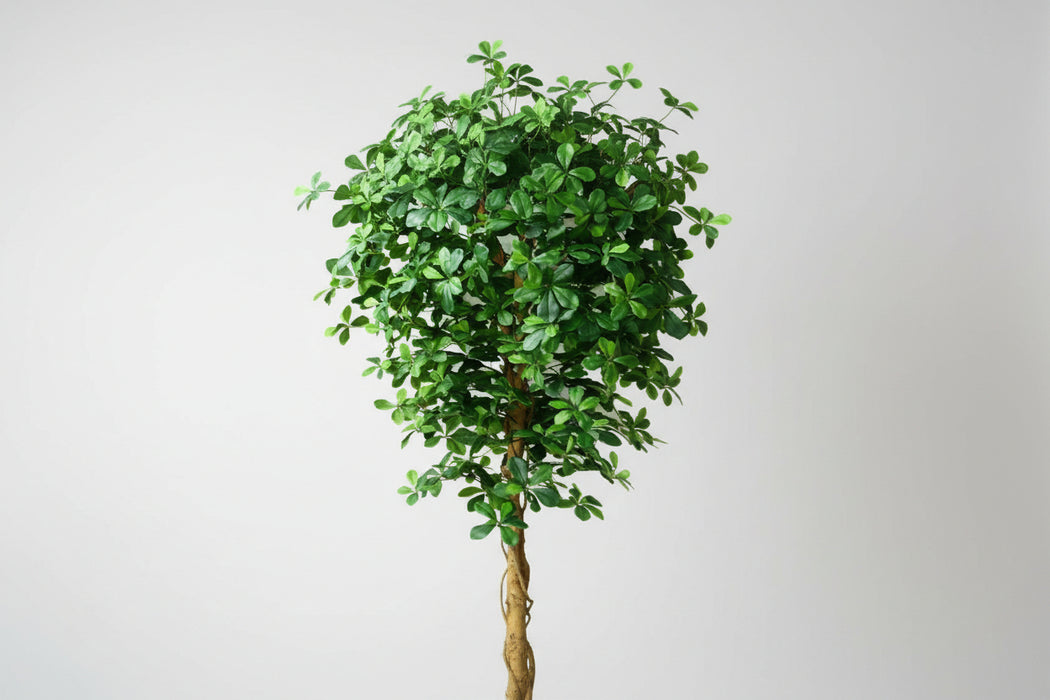 180cm Fire Retardant Black Olive Tree with 2925 Leaves