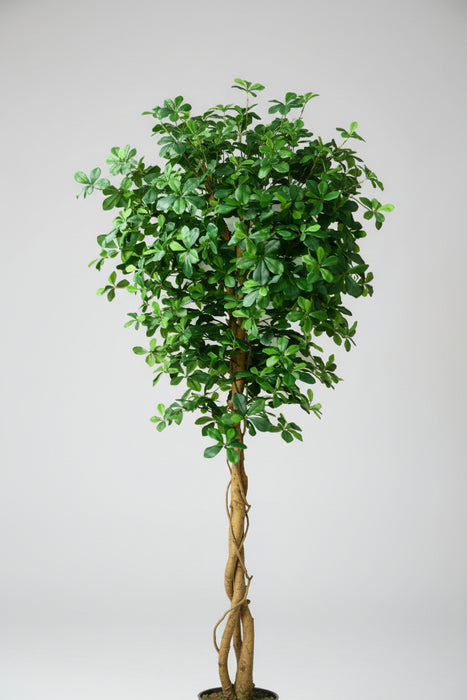 180cm Fire Retardant Black Olive Tree with 2925 Leaves