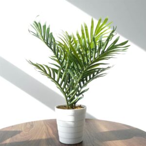 Pack of 6 x 50cm Artificial Mini Palm Tree