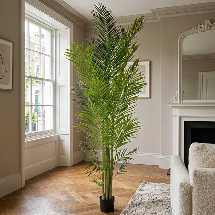 Palm Areca - 240cm - Fire Retardant