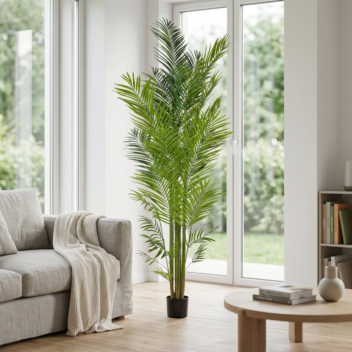 Palm Areca - 240cm - Fire Retardant