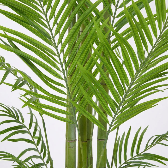 Palm Areca - 240cm - Fire Retardant