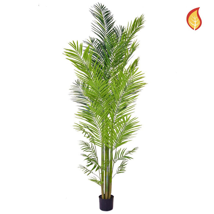 Palm Areca - 240cm - Fire Retardant