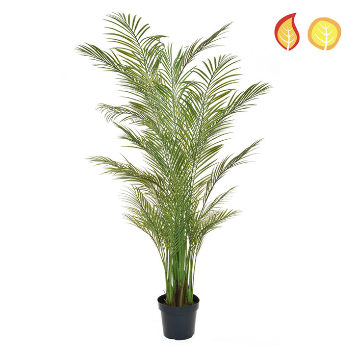 Areca Palm 210cm – Fire & UV Resistant