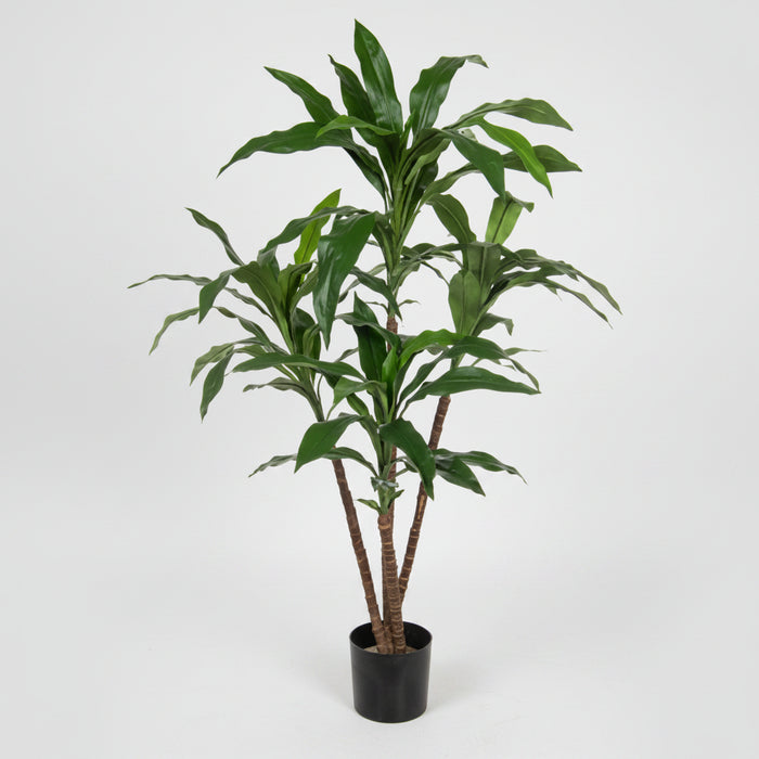 60cm Fire Retardant Dracaena Plant