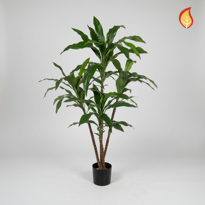 Dracaena Tree 60cm Fire Retardant