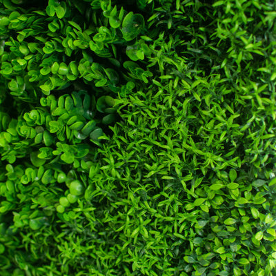 Artificial Green Wall Panel – Fenwick Mix 100 × 100cm UV/FR  Pack of 5