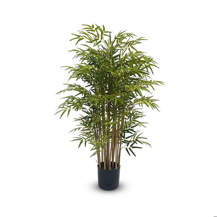 Japanese Bamboo Tree 120cm