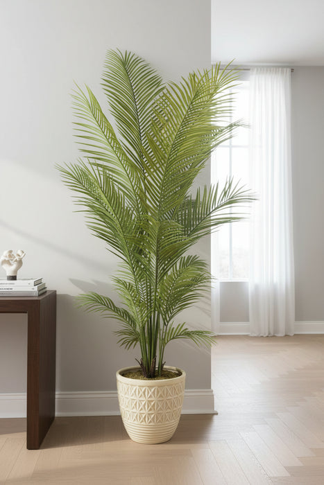 Areca Palm Tree 170cm