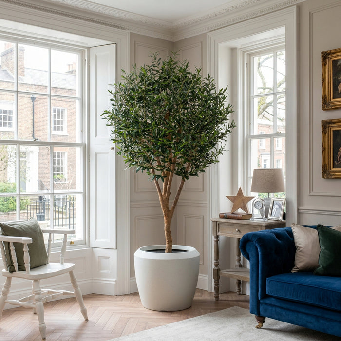 Olive Tree – 210cm with Natural Trunk, Fire-Retardant and UV Resistant