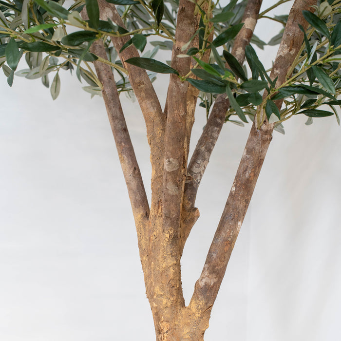 Olive Tree – 210cm with Natural Trunk, Fire-Retardant and UV Resistant