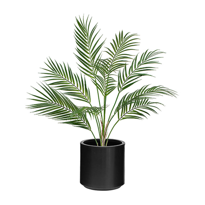 Areca Palm in Stockholm Pot – 70cm