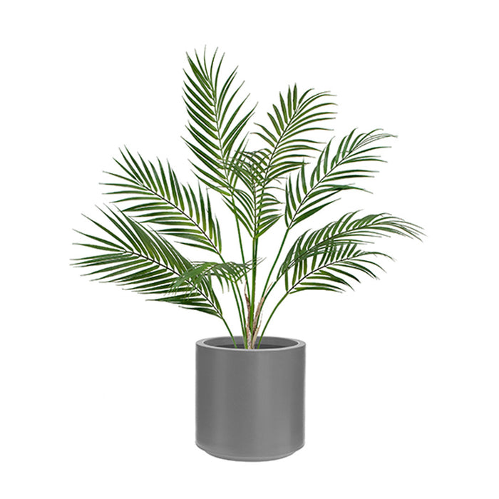 Areca Palm in Stockholm Pot – 70cm