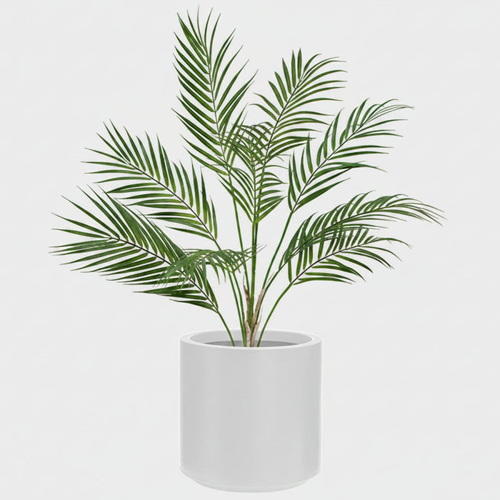 Areca Palm in Stockholm Pot – 70cm