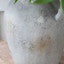 Cream Peony & Greenery Arrangement in Vase - 72cm
