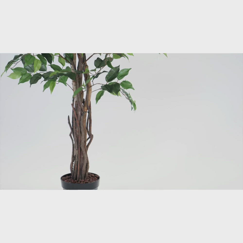Artificial Ficus Tree - Artificial Eden