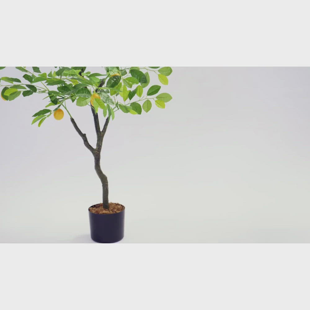 Artificial Lemon Tree - Artificial Eden