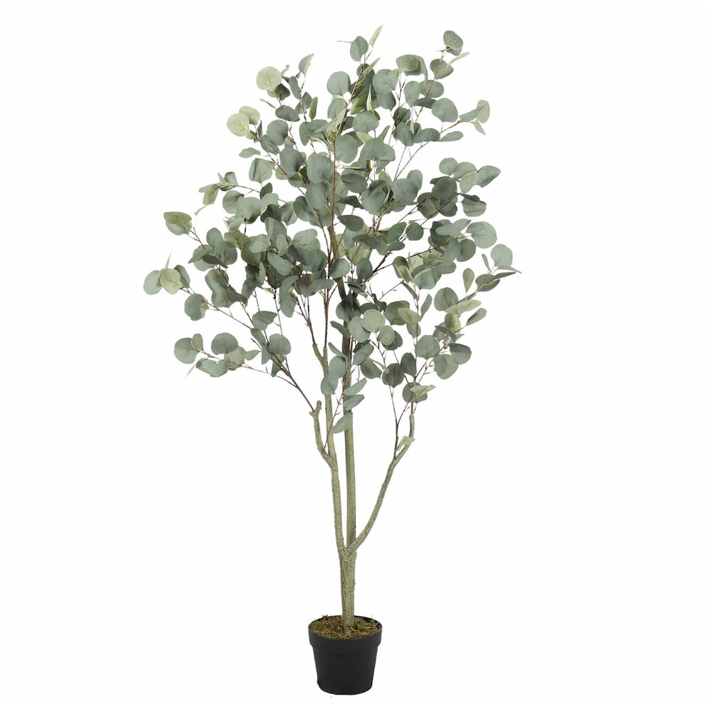 Artificial Eucalyptus Tree — Artificial Eden