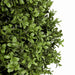 artificial buxus tree