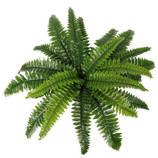 artificial fern plant