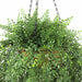 artificial hanging planter
