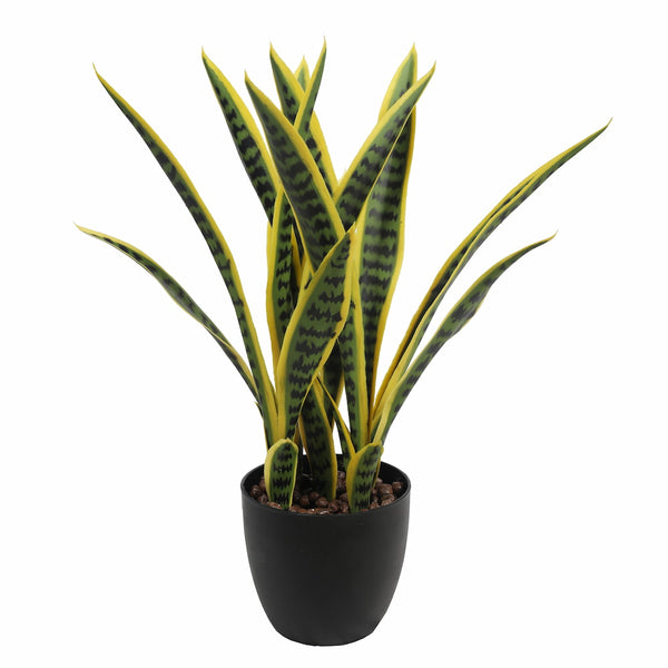 Artificial deals snake plant