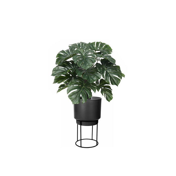 artificial cheese plant