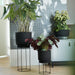 b.for studio round living black plant pot lifestyle