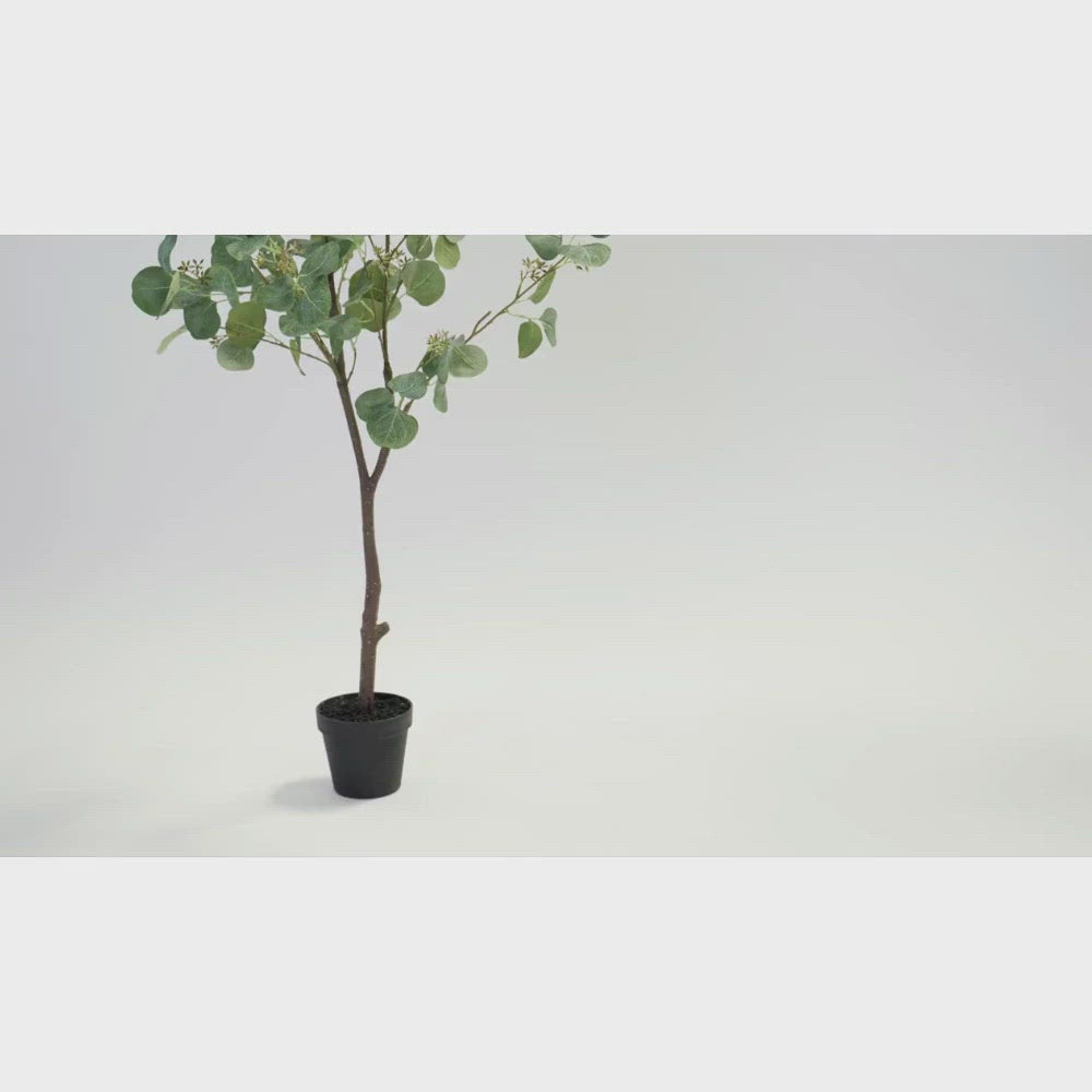 Artificial Eucalyptus Tree - Artificial Eden