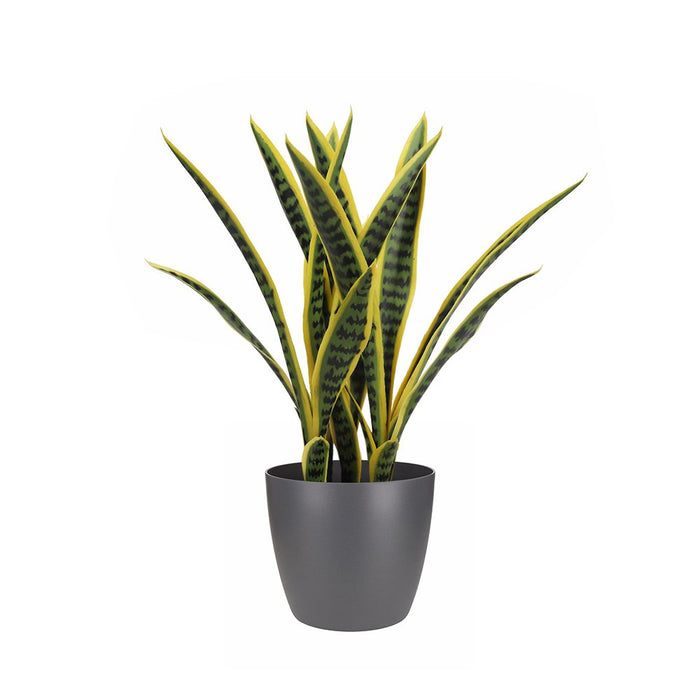 faux snake plant uk Snake Sansevieria Plant 65cm (Mother-in-Law Tongue) — Artificial Eden