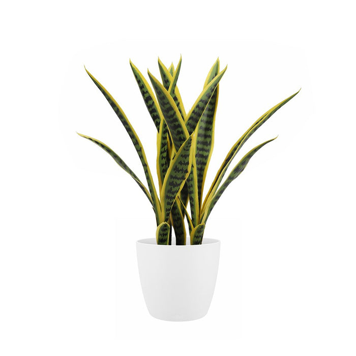 snake plant amazon uk Snake Sansevieria Plant 65cm (Mother-in-Law Tongue) — Artificial Eden