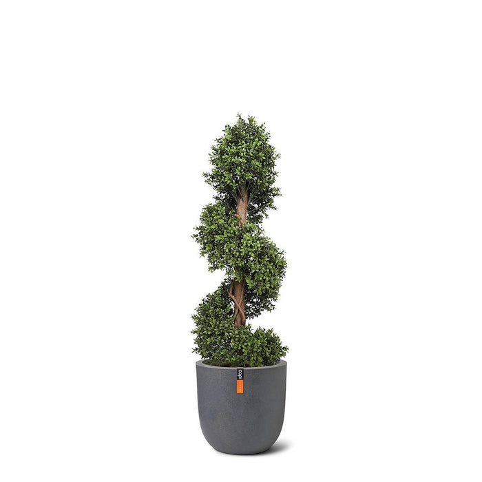 Artificial Buxus (Boxwood) Spiral Topiary Tree